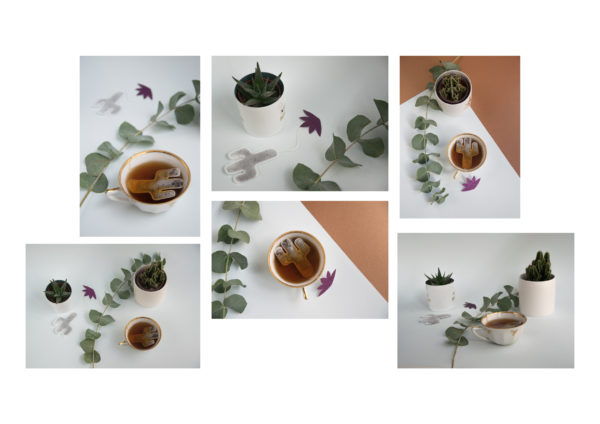 Carlotta-teaheritage-shooting-cactus